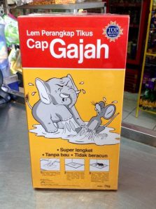 Yuk Intip Rekomendasi Lem Tikus Yang Bagus Usir Hewan Pengerat Di Rumah