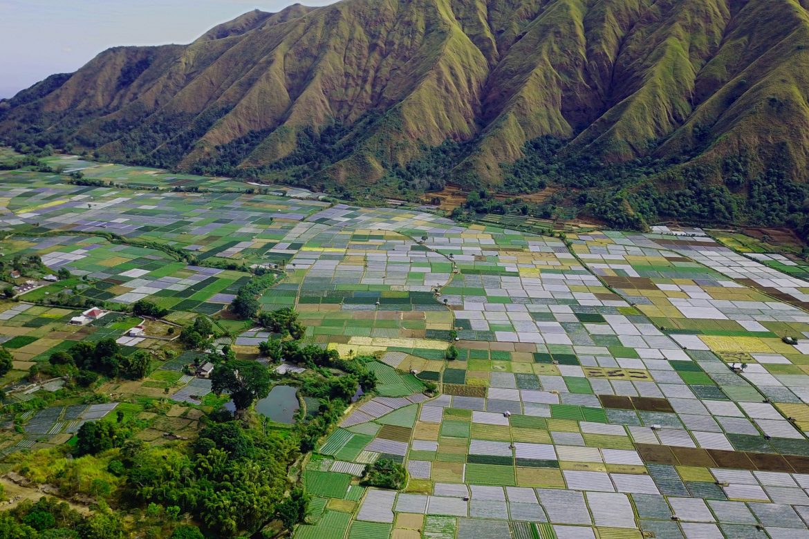 Pendakian Bukit Selong Sembalun: Biaya, Itinerary, dan Waktu Ideal untuk Petualangan Tahun 2023