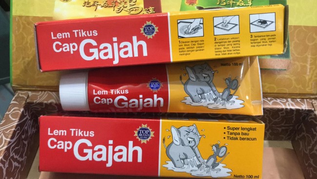 Lem Tikus Cap Gajah 13